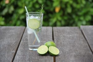 Lime Lemon Drink Alcohol Tonic Cocktail Gin