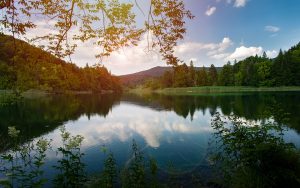Summer Croatia Forest Landscape Lake Water Nature