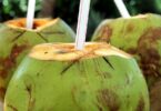 Kokosová voda: Drahý špás, nebo efektivní prostředek hydratace