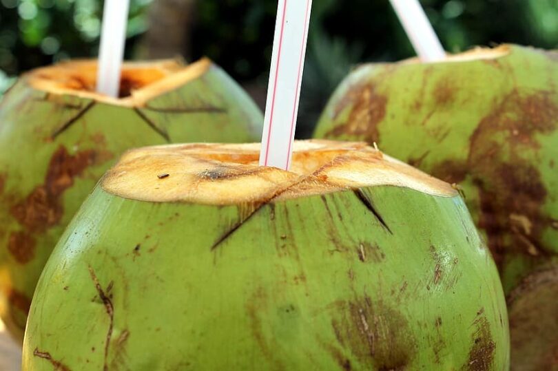 Kokosová voda: Drahý špás, nebo efektivní prostředek hydratace